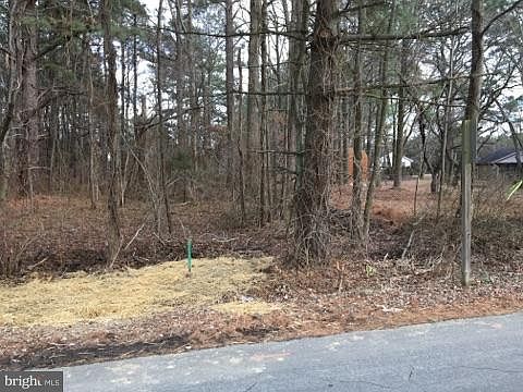 3rd image of 219 Penny Ln