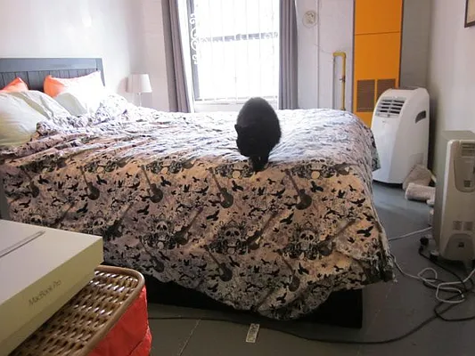 Rented by Empire One Realty | media 22