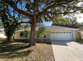 18309 Cypress Stand Cir, Tampa, FL 33647