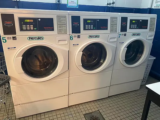 Rented by Golden Bull Realty Management | media 11