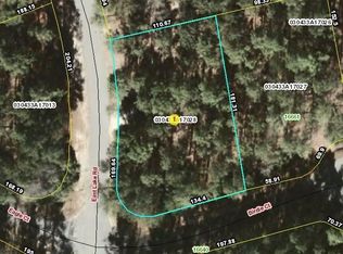 28 Birdie Ct E, Wagram, NC 28396