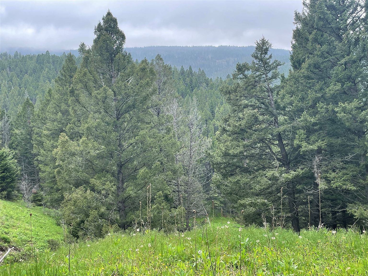 Empire Creek Mine Rd, Canyon Creek, MT 59633 Zillow