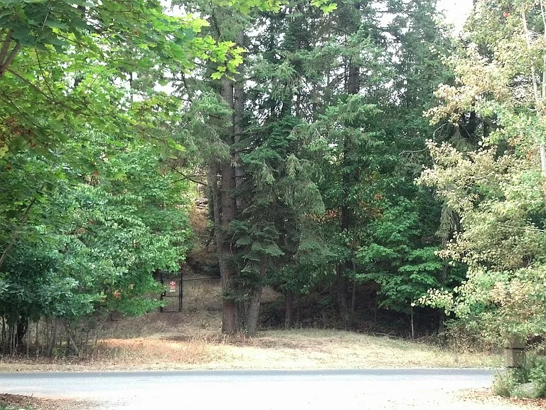 View across the street.