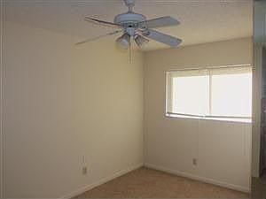 5th image of 7914 Citrus Dr