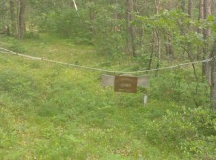 Gunter Trl, Grayling, MI 49738