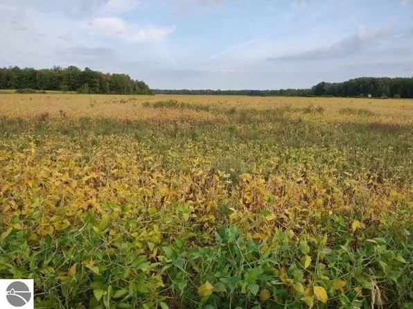 0 N Carter Rd, Linwood, MI 48634