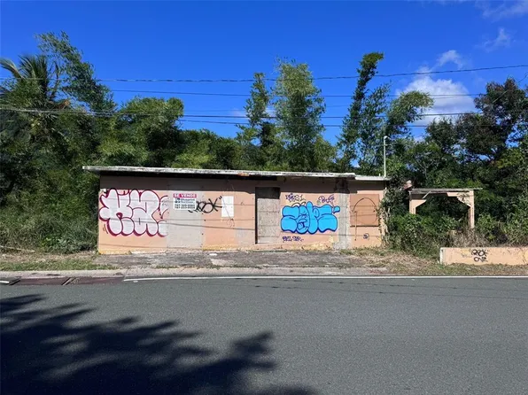 Bo Palma Alta Pr #15, Guayama, PR 00784
