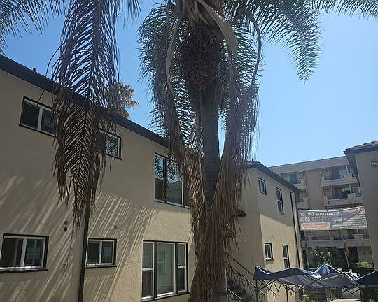 5th image of 537 S Catalina St