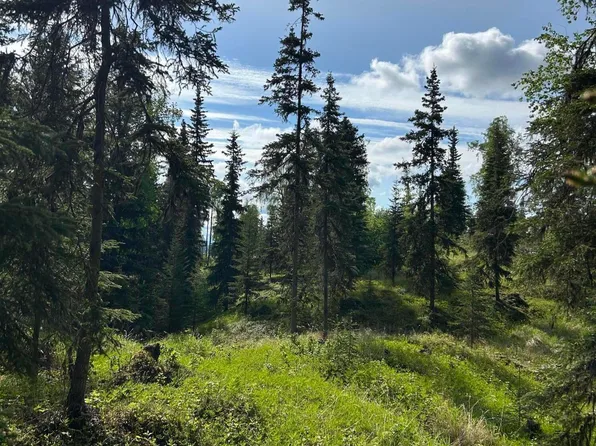 34815 Schwalm Rd, Soldotna, AK 99669