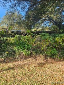 1756 N Paul Dr, Inverness, FL, 34453