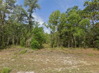 6502 N Matheson Dr Lot 700, Dunnellon, FL 34434