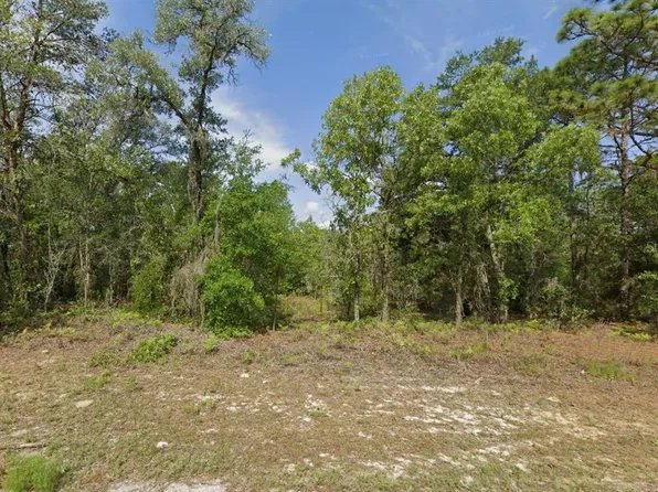 6502 N Matheson Dr Lot 700, Dunnellon, FL 34434