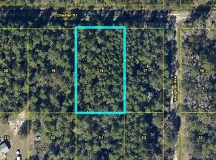 5015 Chester St, Hastings, FL 32145