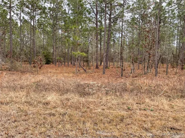 LOT 25 SE 138th Ave, Dunnellon, FL 34431