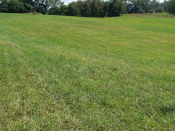 3rd image of Tbd Timber Ridge Rd