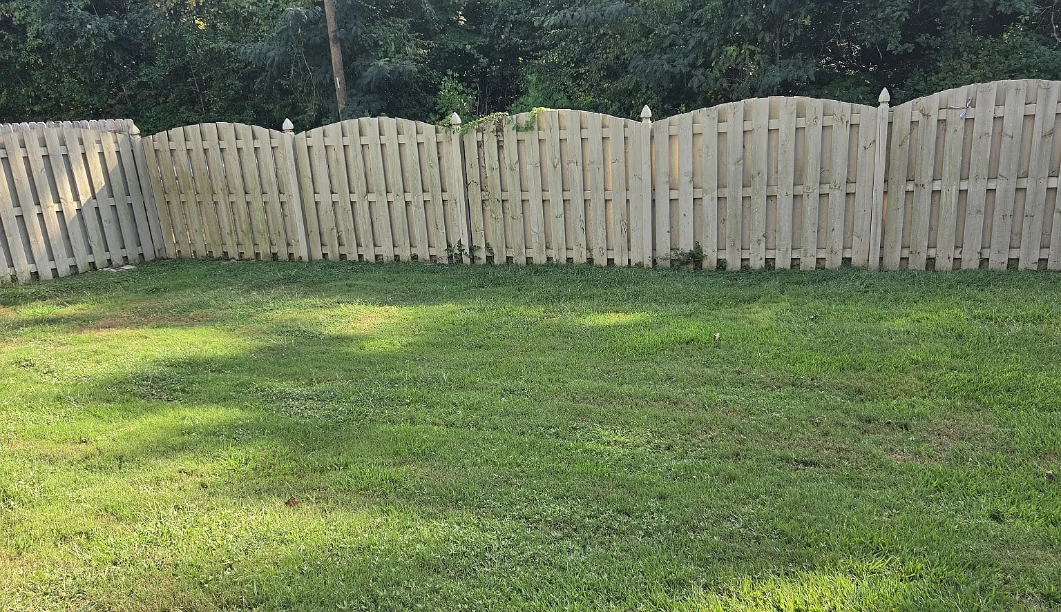 3 bed, 1546 sqft, $2,400 — Photo 2