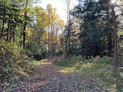 Vl South Ridge Rd, Conneaut, OH, 44030