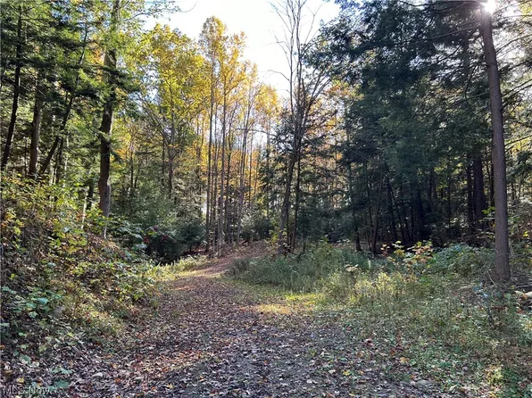 Vl South Ridge Rd, Conneaut, OH 44030
