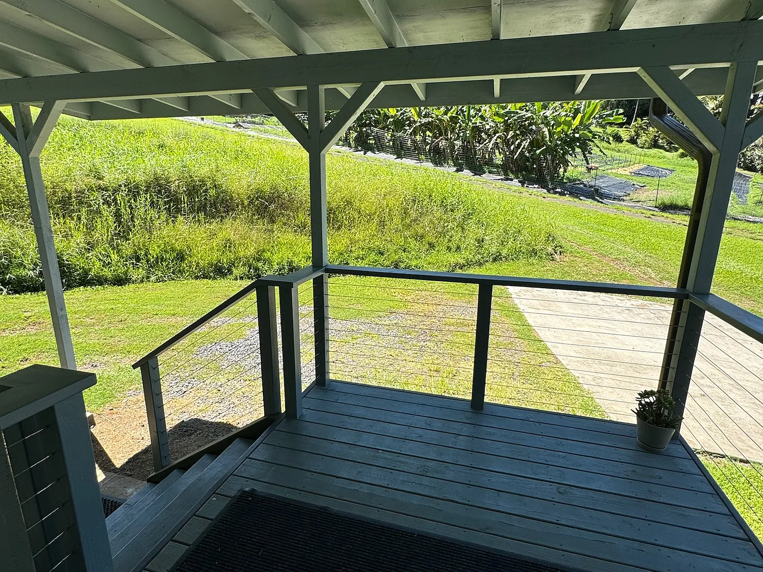 4 bed, 1250 sqft, $5,200 — Photo 3