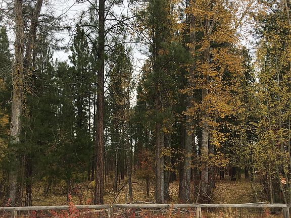 2nd image of 230 Kootenai Creek Rd