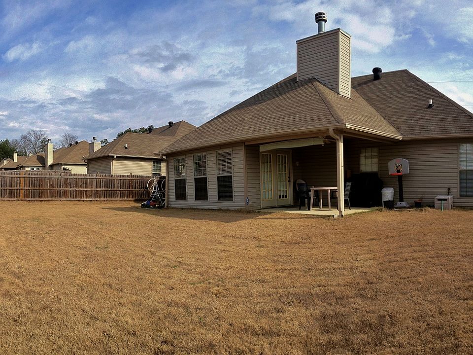 Back View
