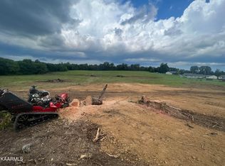 3488 White Birch Rd, White Pine, TN 37890