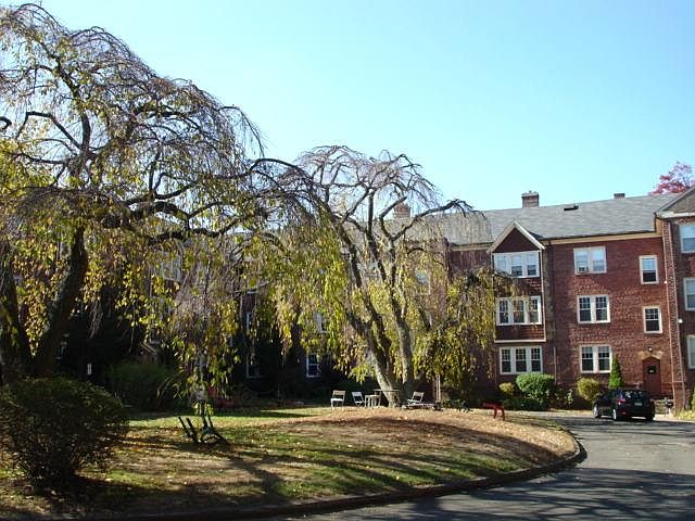 2nd image of 176 Linden St APT F2