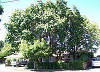 1st image of 3777 Hayden Dr
