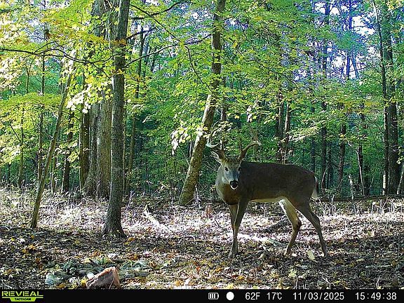 5th image of 0 Proctor Mill Rd