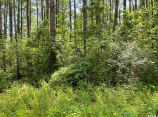Orange Blossom St LOT 18, Andrews, SC 29510