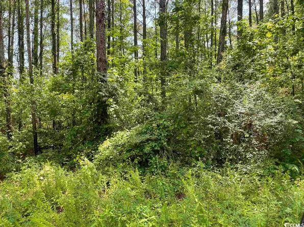 TBD Orange Blossom St. Lot 18, Andrews, SC 29510