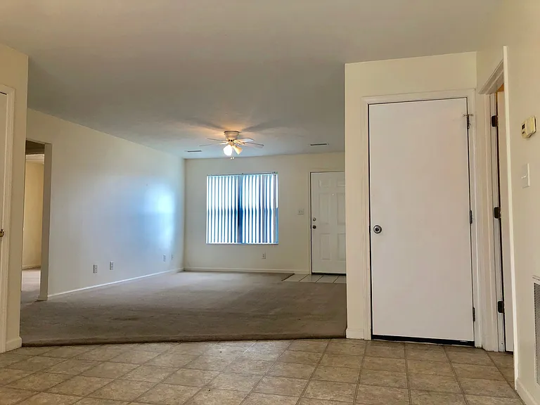 60 Mj Ln #1 — Photo 2