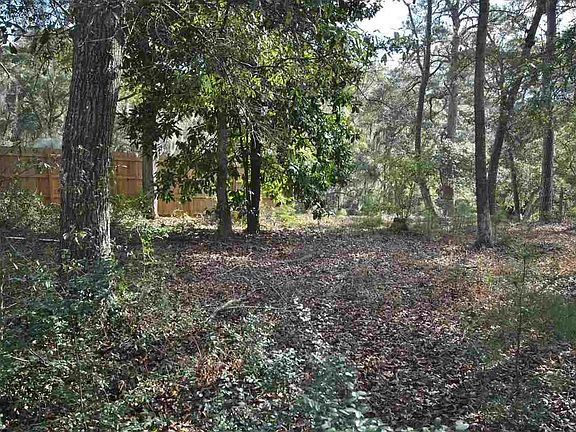 5th image of 81 Evergreen Lane