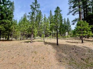 153 Saddle Ridge Rd, Clio, CA