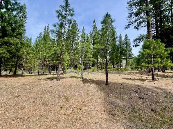 153 Saddle Ridge Rd, Clio, CA 96106