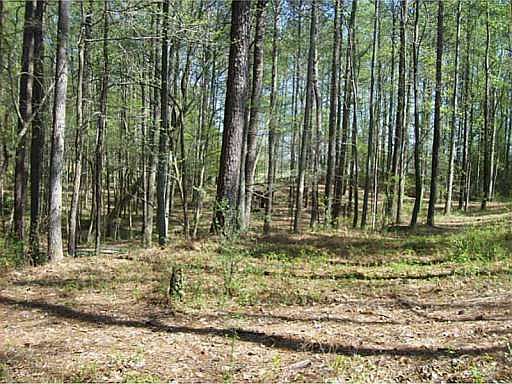 5th image of 190 Farm Gate Dr