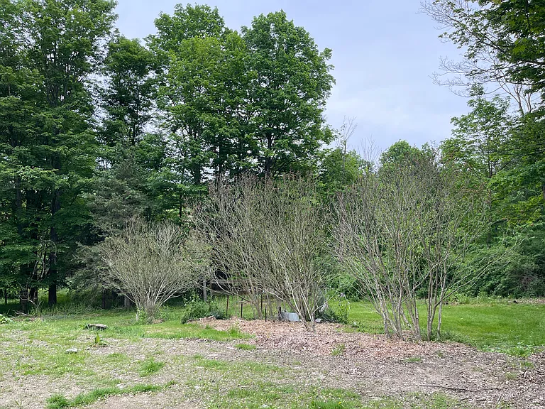 20 Glenn Ave — Photo 25