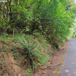 Coal Creek Rd, Scappoose, OR, 97056