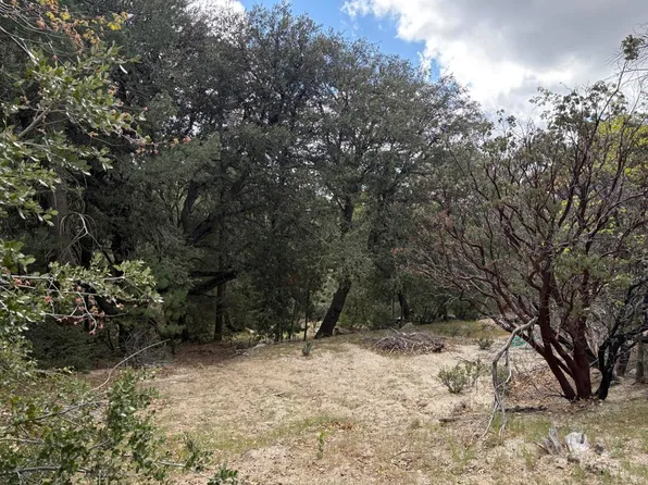 0 Schaffer Dr, Idyllwild, CA 92549