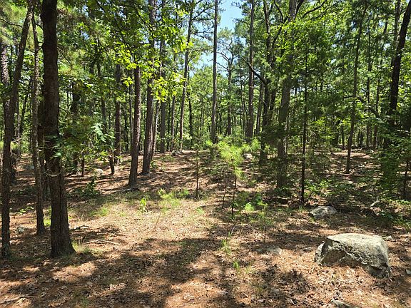 5th image of 165B Shorty Creek Trl