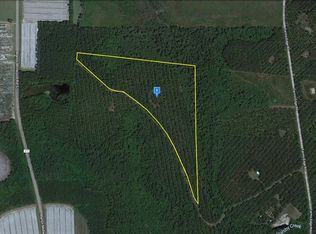 S Farms Edge Rd, Manor, GA 31550