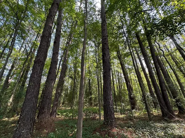 2 Edwards Rd, Kosciusko, MS 39090