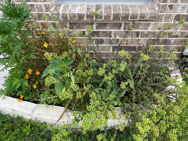 14709 Cedar Flat Way — Photo 27