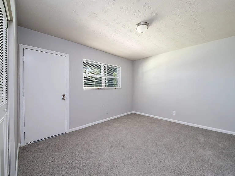 Bright and spacious empty bedroom with soft carpet flooring and a window letting in natural light.