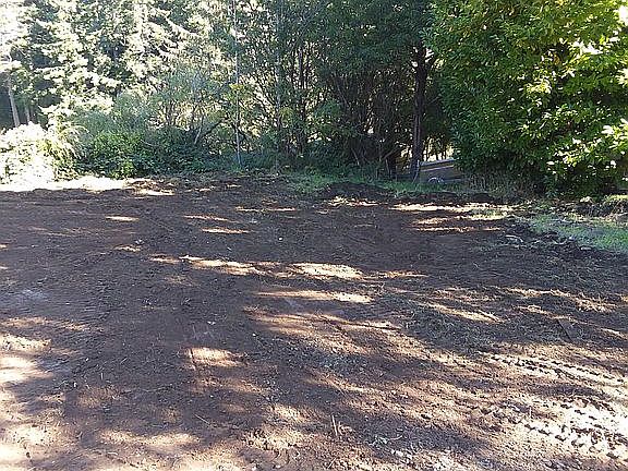 Surrounded by mature trees .