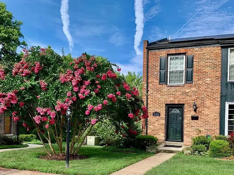 516 Meadow Hall Dr #D516 — Photo 1