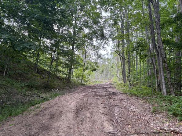 Mount Jack Rd, Elmira, MI 49730