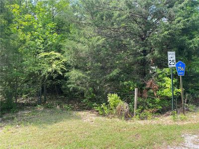 0 County Road 411, Salem, AL, 36874
