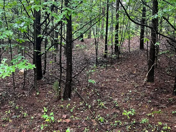 0 Coles Creek Rd, Rocky Mount, VA 24151