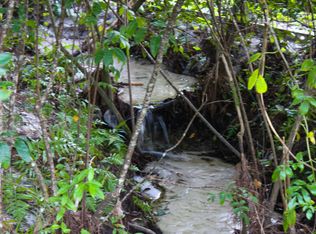 2450 Halperns Way, Middleburg, FL 32068